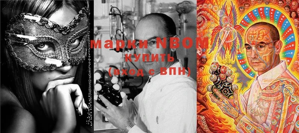 ешки Медногорск