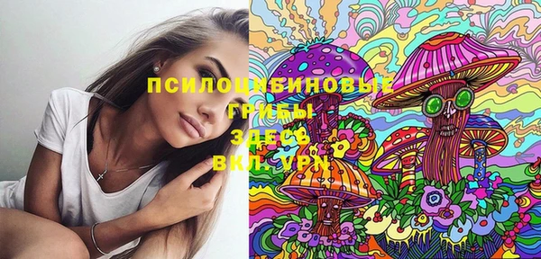 ешки Медногорск