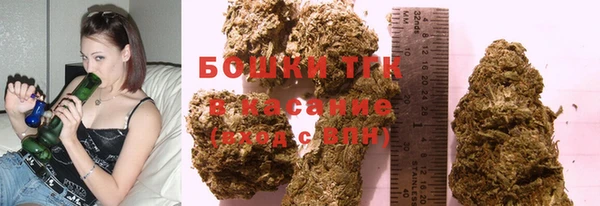 ешки Медногорск