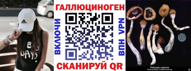 закладка  Тогучин  Галлюциногенные грибы прущие грибы 